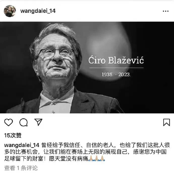 布拉泽维奇的忠言 中国足球至今仍受用