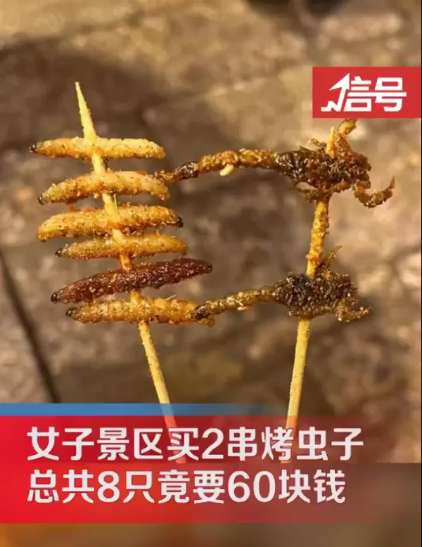 女子在丽江景区60元买2串烧烤 拿到手发现仅有8只虫 直呼价格离谱