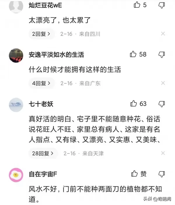 女子在后院打造6层菜园   各种蔬菜自给自足羡煞网友