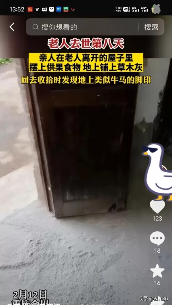 农村习俗称逝者头七会回来看家   家人在地上撒草木灰结果发现牛马脚印