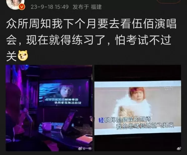 伍佰演唱会后劲有多大 音乐节现场感染力太强了 结束后依旧走不出来