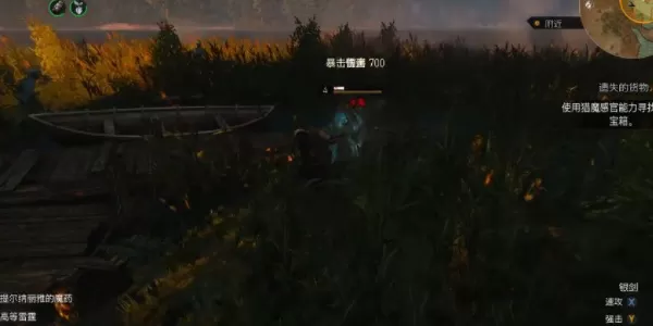 巫师3遗失的货物任务怎么做