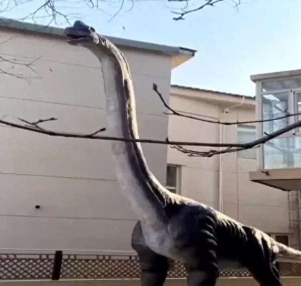 北京一居民花10万买15米高“恐龙”摆院中