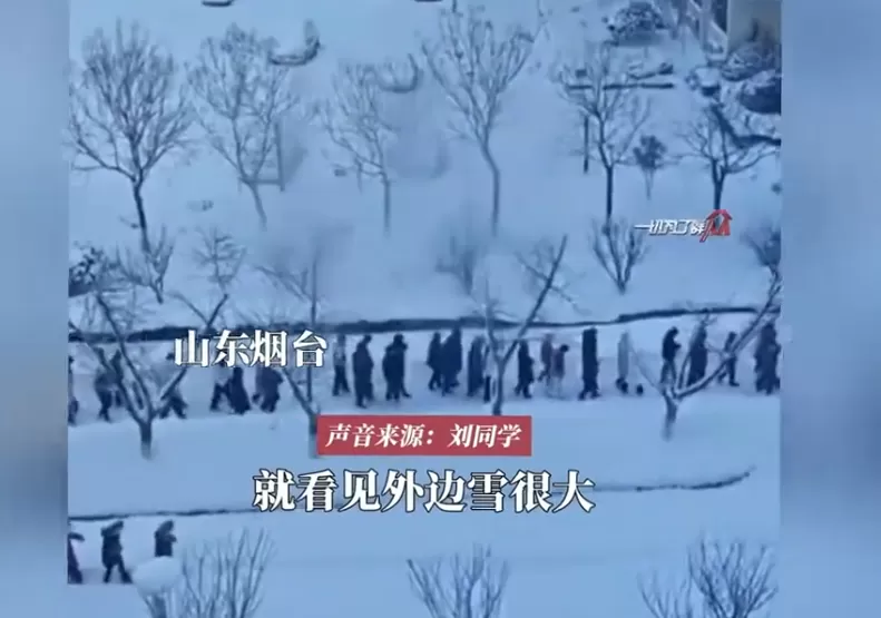 山东一夜暴雪后