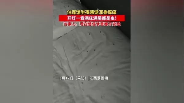 夫妻住宾馆凌晨发现满床黑虫