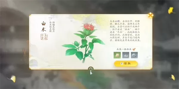 射雕手游白术收集方法