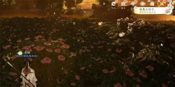 射雕手游木槿花收集方法