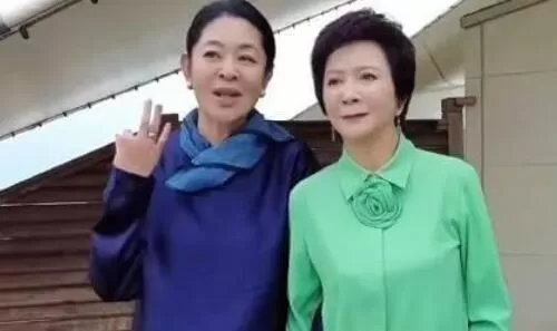 倪萍65岁意外摔倒 楼梯上两米外坠落