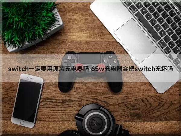 switch一定要用原装充电器吗 65w充电器会把switch充坏吗