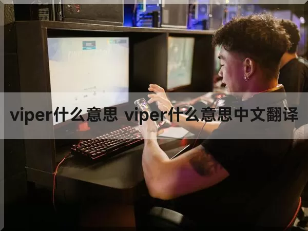 viper什么意思 viper什么意思中文翻译